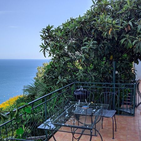 Villa Delle Agavi Vietri sul Mare Exterior photo